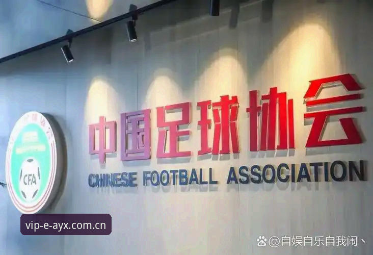 AYX登录入口 足协禁足令与赛事公正性对比:从终身禁赛名单看中国足球反腐风暴